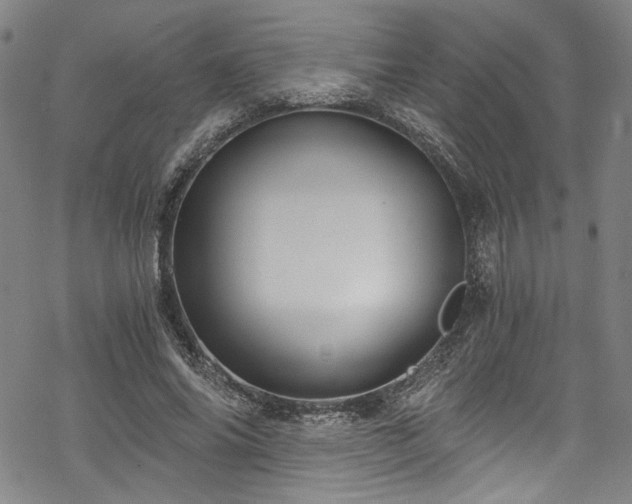 X0000068900686200605081346