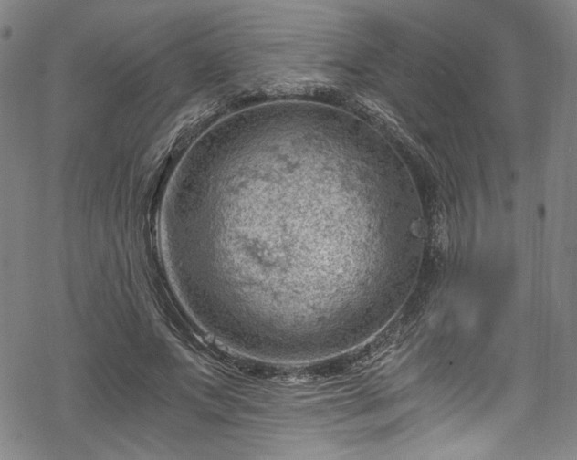 X0000068900687200605081346