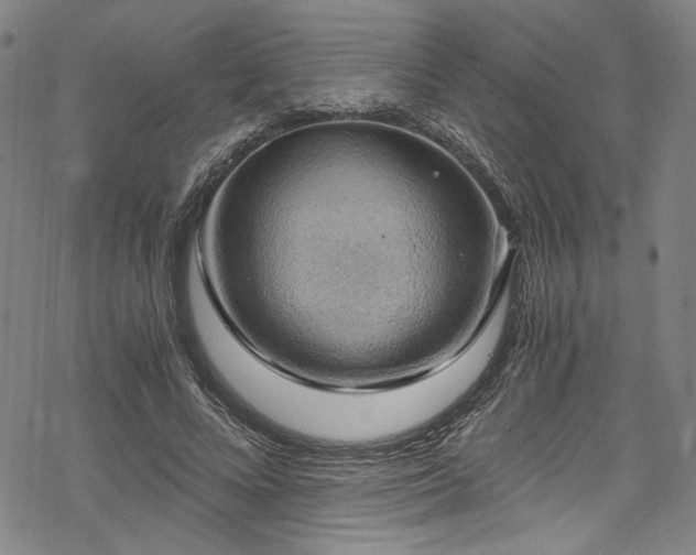 X0000068900688200605081346