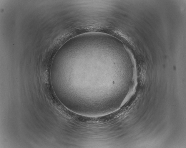 X0000068900689200605081346