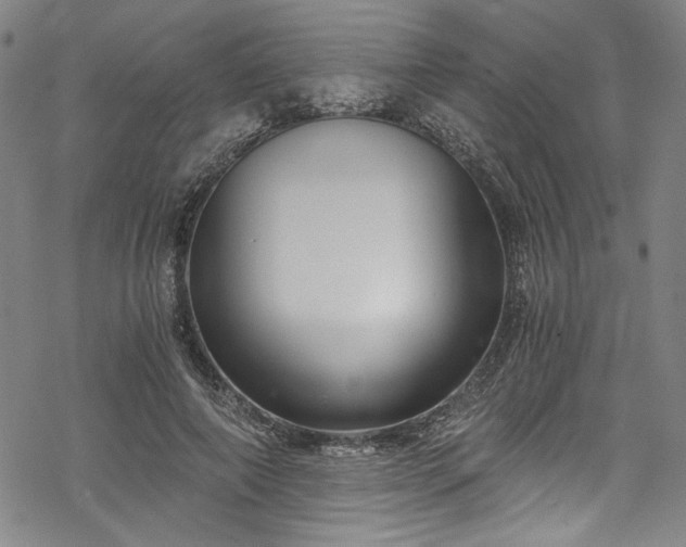 X0000068900690200605081346