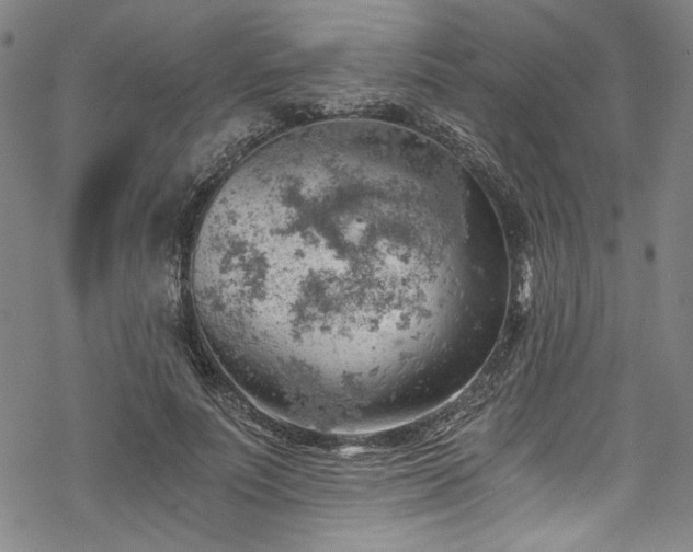 X0000068900691200605081346