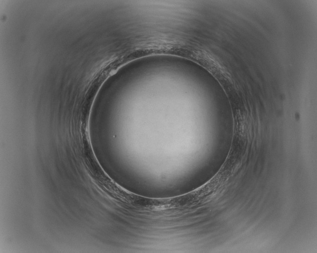 X0000068900692200605081346