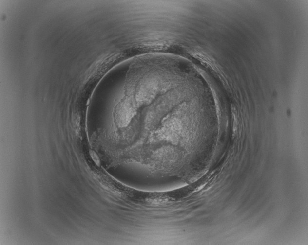 X0000068900693200605081346