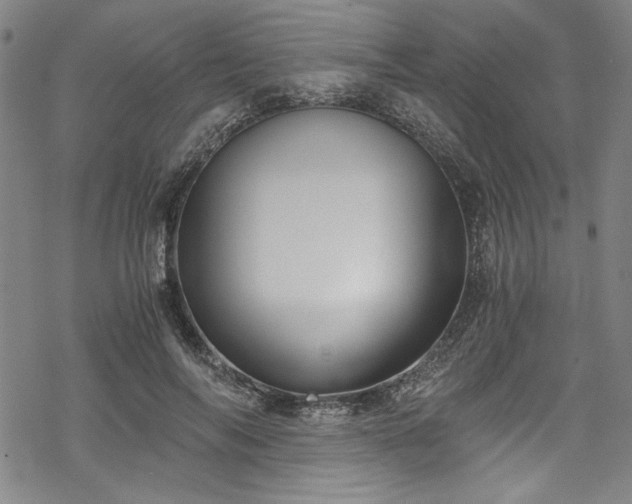 X0000068900694200605081346