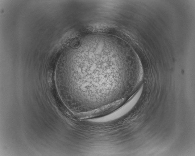 X0000068900695200605081346