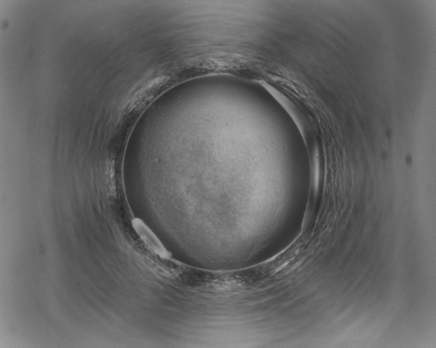 X0000068900696200605081346