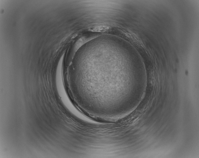 X0000068900697200605081346