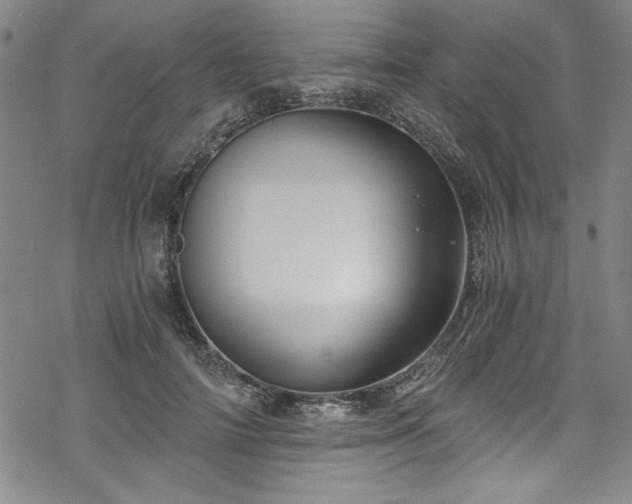 X0000068900698200605081346