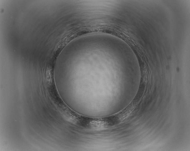 X0000068900699200605081346