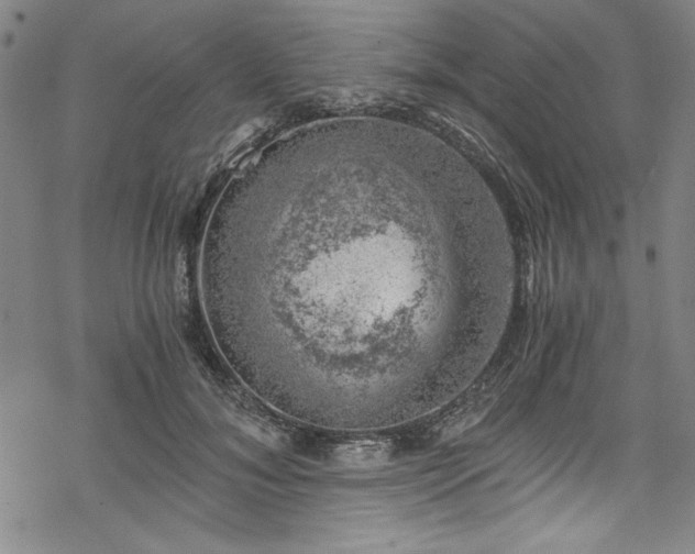 X0000068900700200605081346