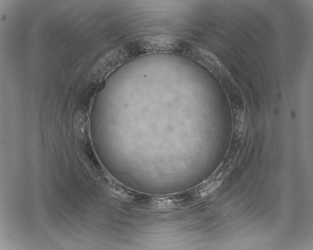 X0000068900701200605081346