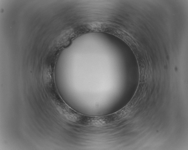 X0000068900702200605081346