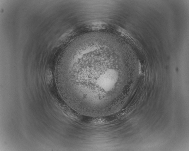 X0000068900704200605081345