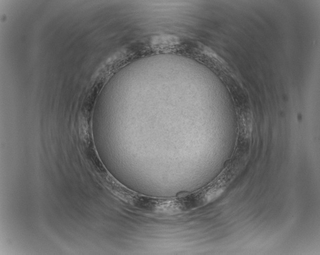 X0000068900705200605081345