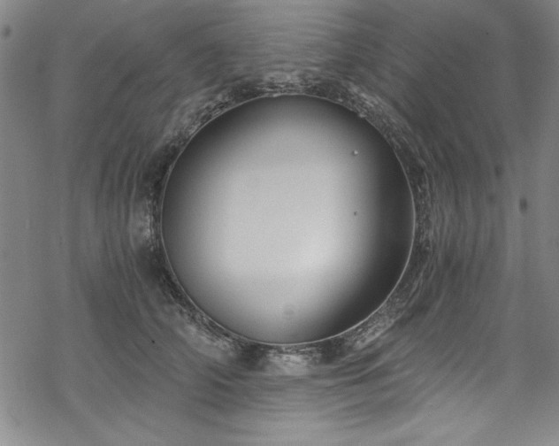 X0000068900706200605081345