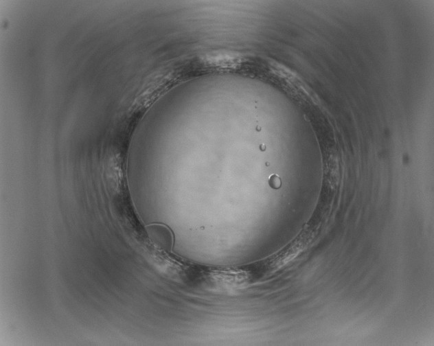 X0000068900707200605081345