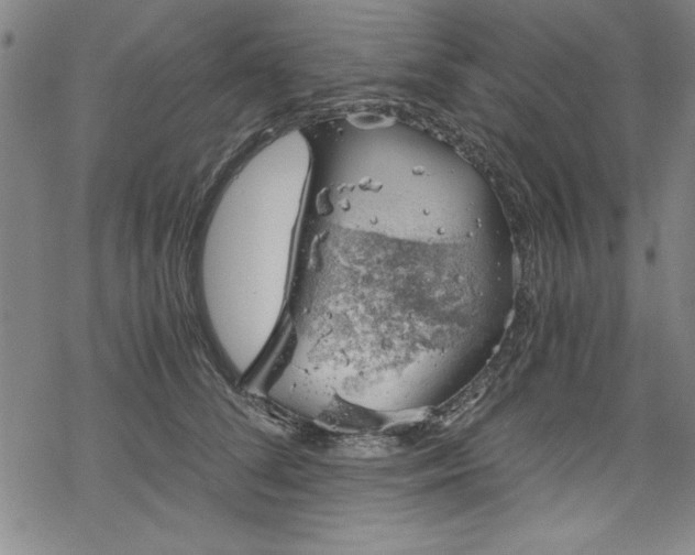 X0000068900708200605081345