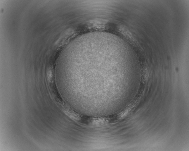 X0000068900709200605081345