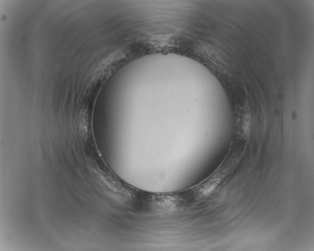 X0000068900710200605081345