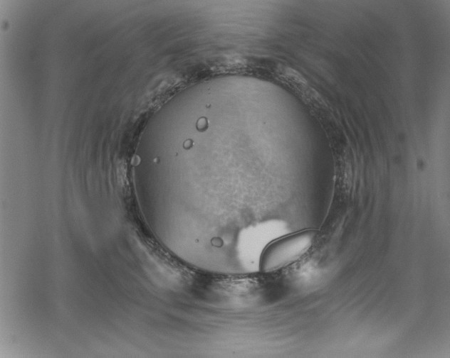 X0000068900711200605081345