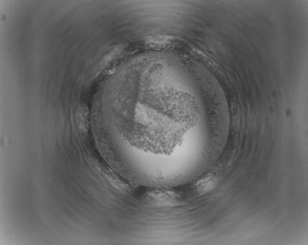 X0000068900712200605081345