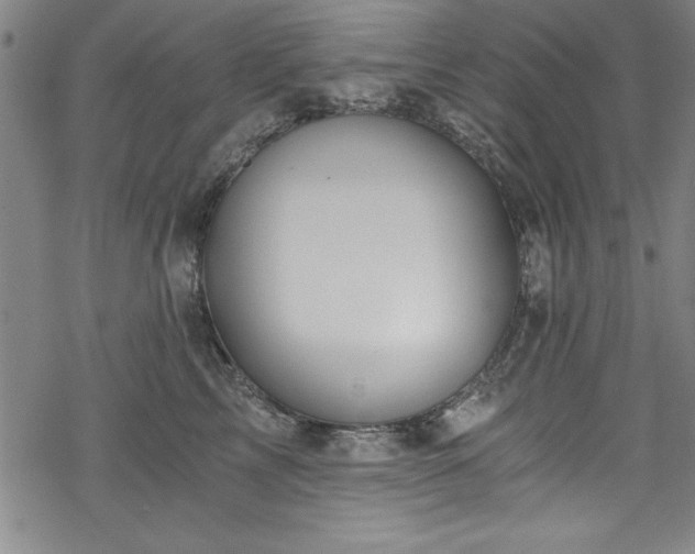 X0000068900713200605081345