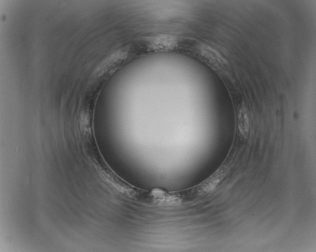 X0000068900714200605081345