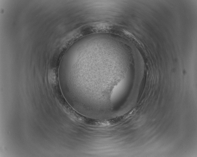 X0000068900715200605081345