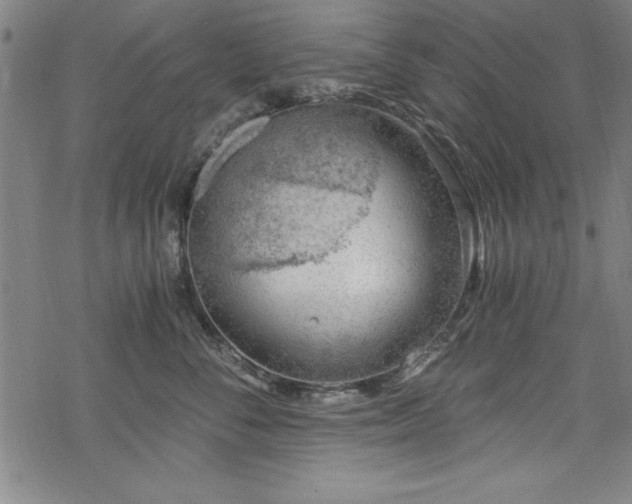 X0000068900716200605081345