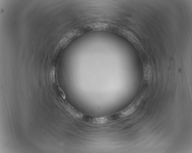 X0000068900717200605081345