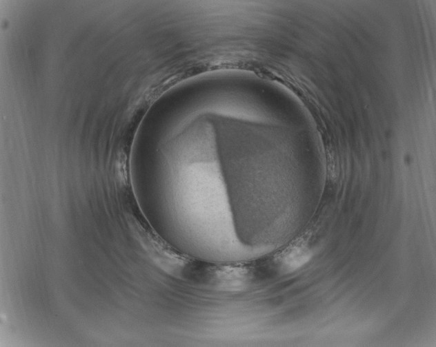 X0000068900718200605081345