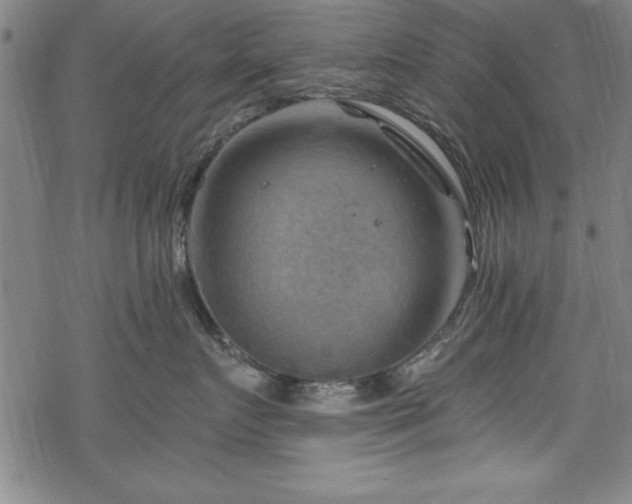 X0000068900719200605081345