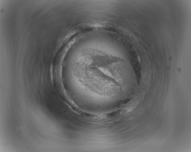 X0000068900720200605081345