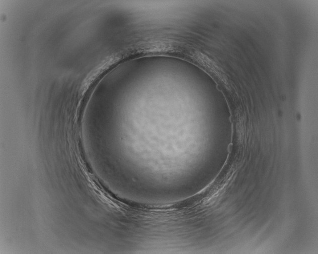 X0000068900721200605081344