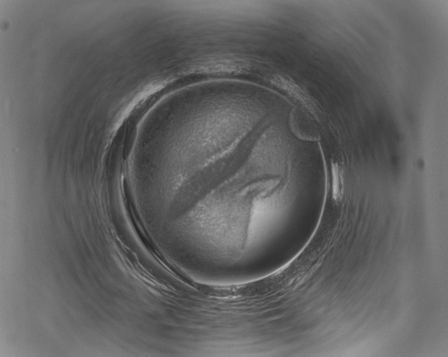 X0000068900723200605081344