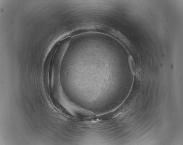 X0000068900724200605081344