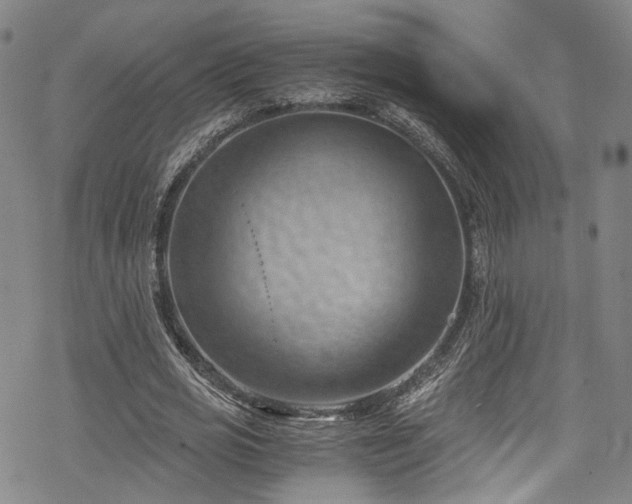 X0000068900725200605081344