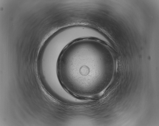 X0000068900726200605081345