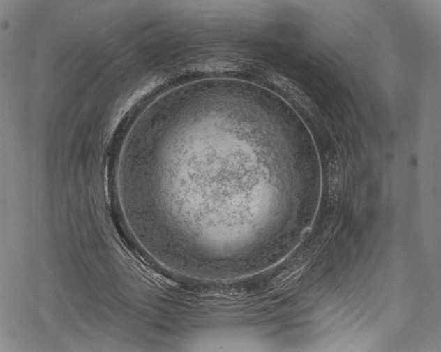 X0000068900727200605081345