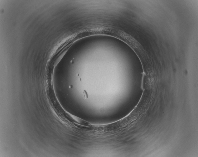 X0000068900728200605081345