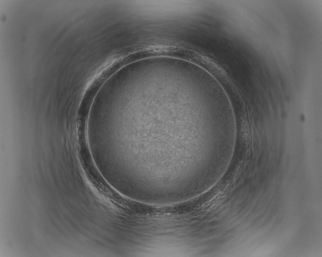 X0000068900730200605081345