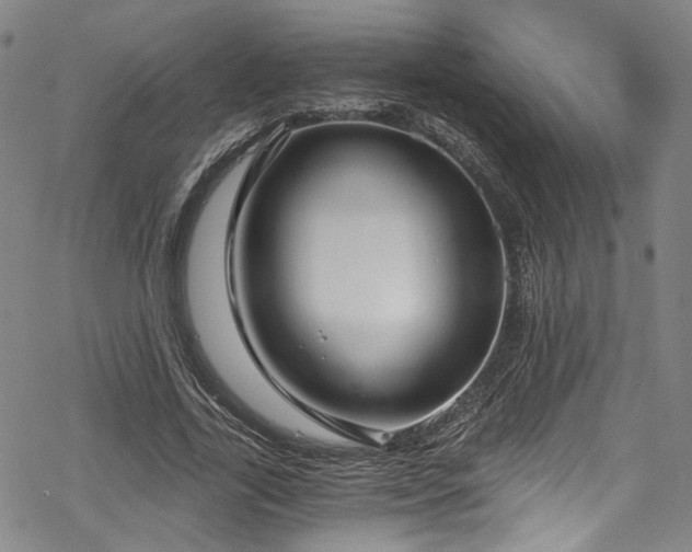 X0000068900731200605081345