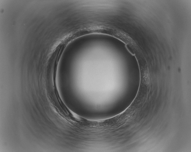 X0000068900732200605081345