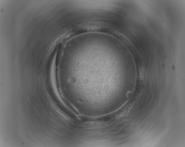 X0000068900733200605081345