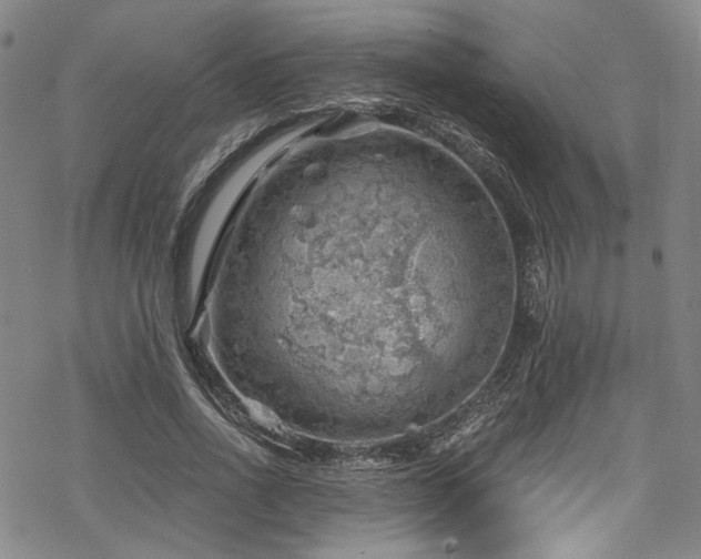 X0000068900734200605081345