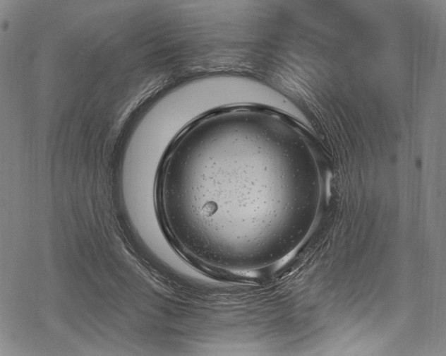 X0000068900735200605081345