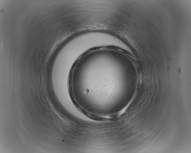 X0000068900736200605081345