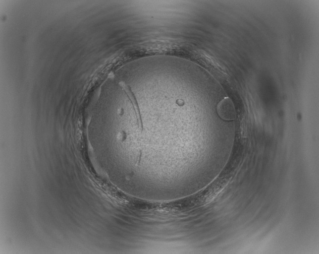 X0000068900737200605081345