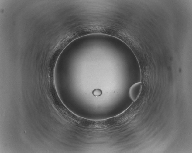 X0000068900739200605081345